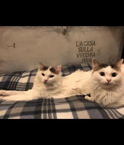 La Casa Sulla Vecchia Riva Appartamento